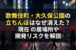 歌舞伎町・大久保公園の立ちんぼはなぜ消えた？現在の居場所や摘発リスクを解説